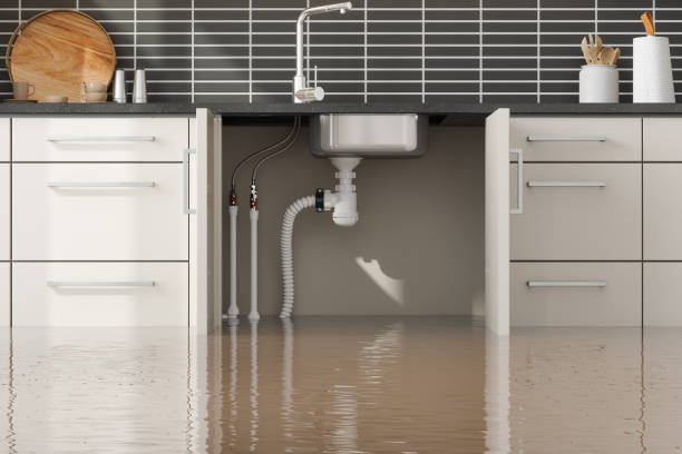 Best Flood damage cleanup  in Fort Salonga, NY